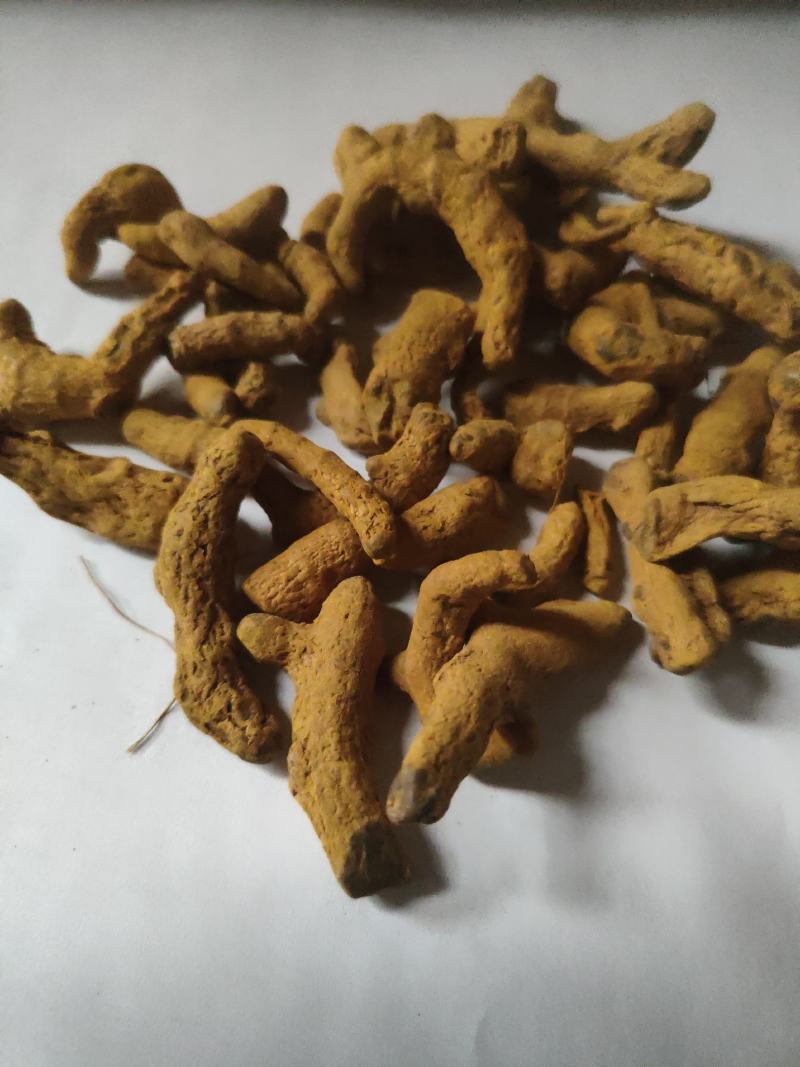 姜黄碎渣沫批发诚信经营支持混批量大从优