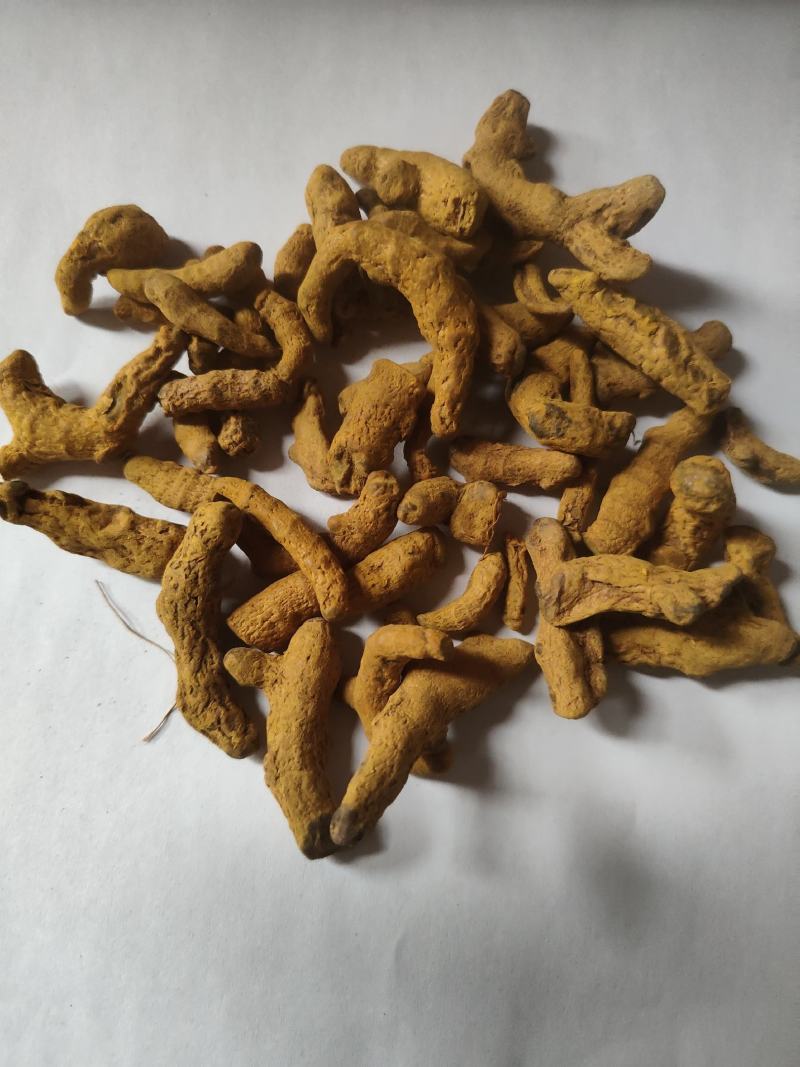 姜黄碎渣沫批发诚信经营支持混批量大从优