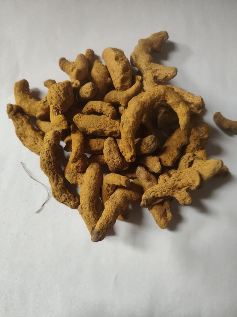姜黄碎渣沫批发诚信经营支持混批量大从优