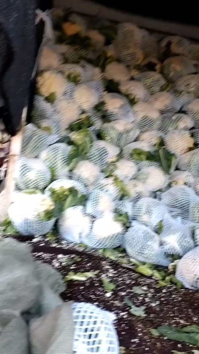 河南省南阳市新野县松花