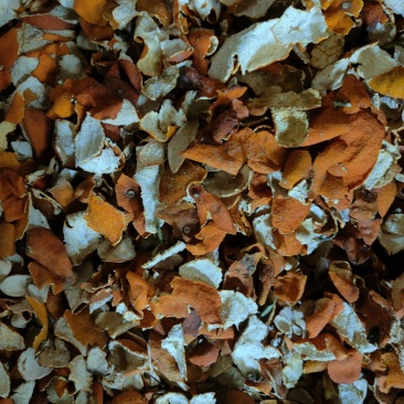 陈皮个晒干统货/全红手工纯陈皮丝烘干无硫产地高含量过检