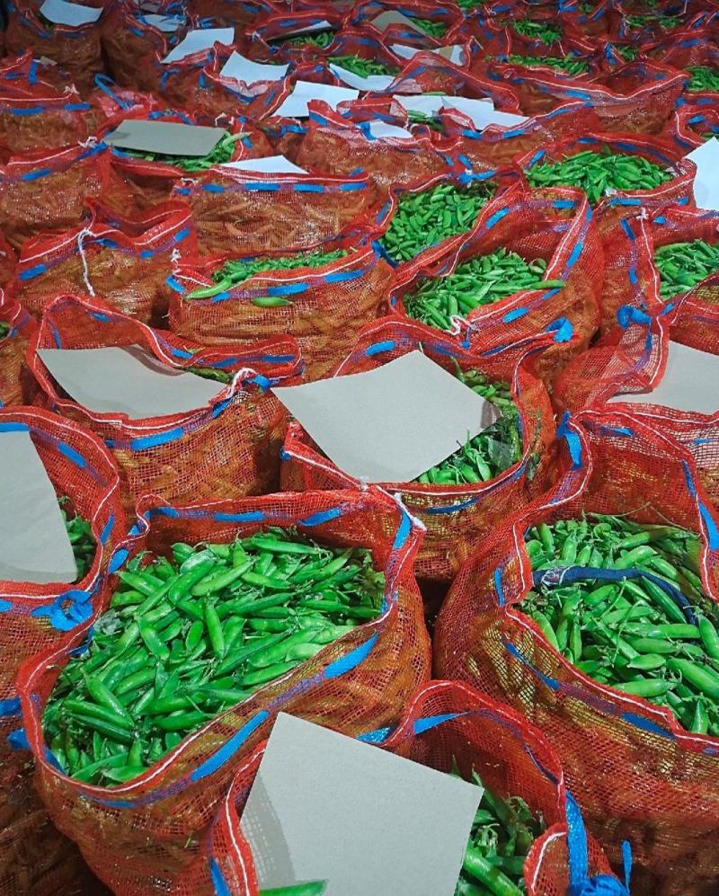 新鲜豌豆荚长寿仁豌豆角中青豌豆米嫩甜豌豆粒湾弯豆