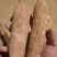 【推荐】红薯，龙九蜜薯，软糯香甜，基地直发，长期供货