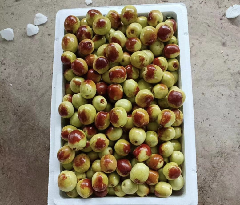 冬枣适配食用场景图:展示老年人群安全食用方式——去核切丁+酸奶搭配,强调定量(78g)与辅食协同 中老年女性在厨房台面用不锈钢刀将冬枣去核切丁,旁边摆放一小碗无糖原味酸奶,背景可见电子计价秤显示"78g",体现科学定量与适配吃法