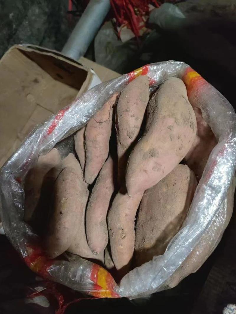 【推荐】红薯，龙九蜜薯，软糯香甜，基地直发，长期供货