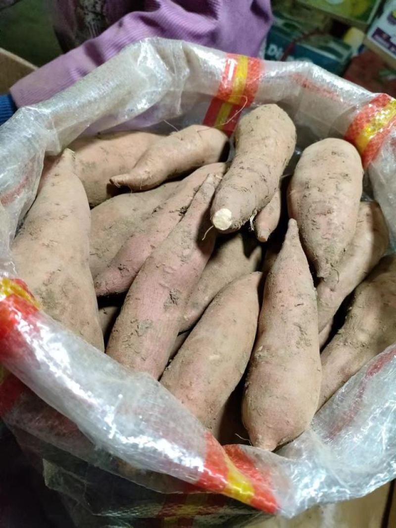 【推荐】红薯，龙九蜜薯，软糯香甜，基地直发，长期供货