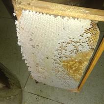 中华蜜蜂蜂蜜（土蜂蜜）