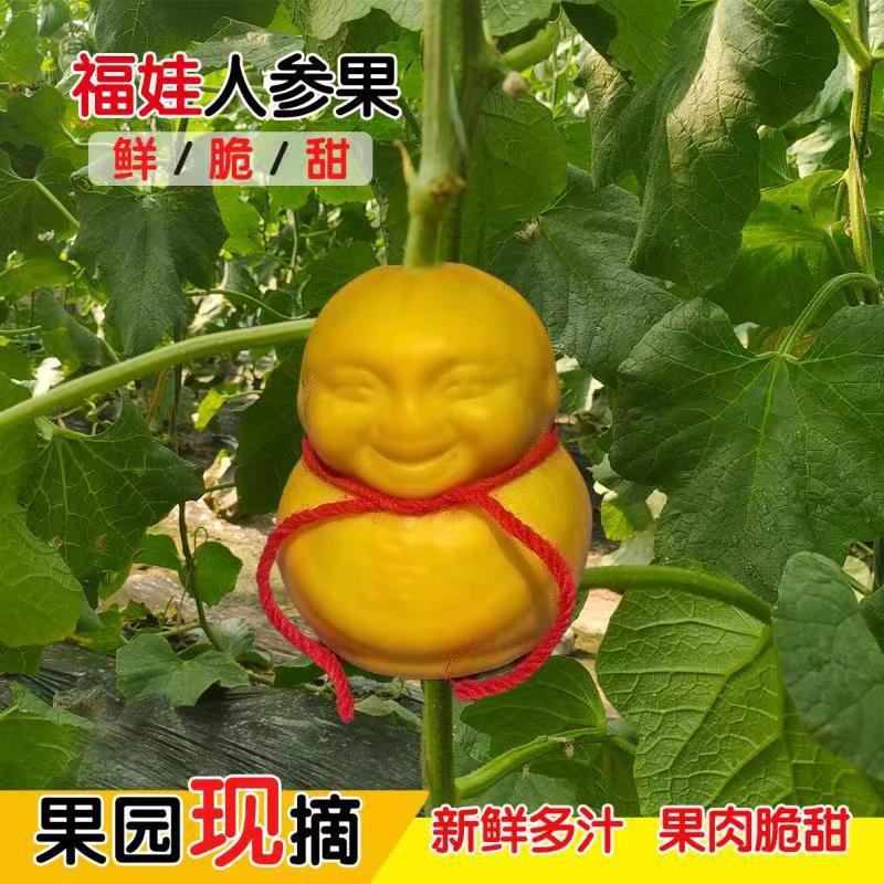 人参果