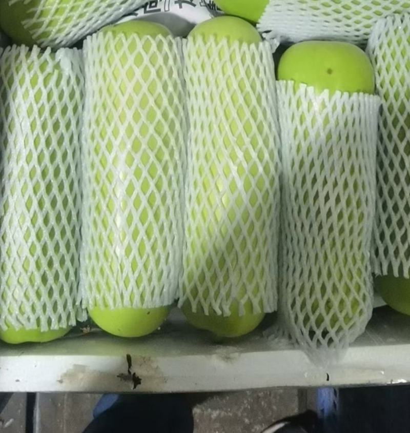 【优选】广东瓠瓜白瓜蒲瓜产地直发按需分练