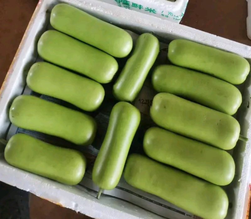 【优选】广东瓠瓜白瓜蒲瓜产地直发按需分练