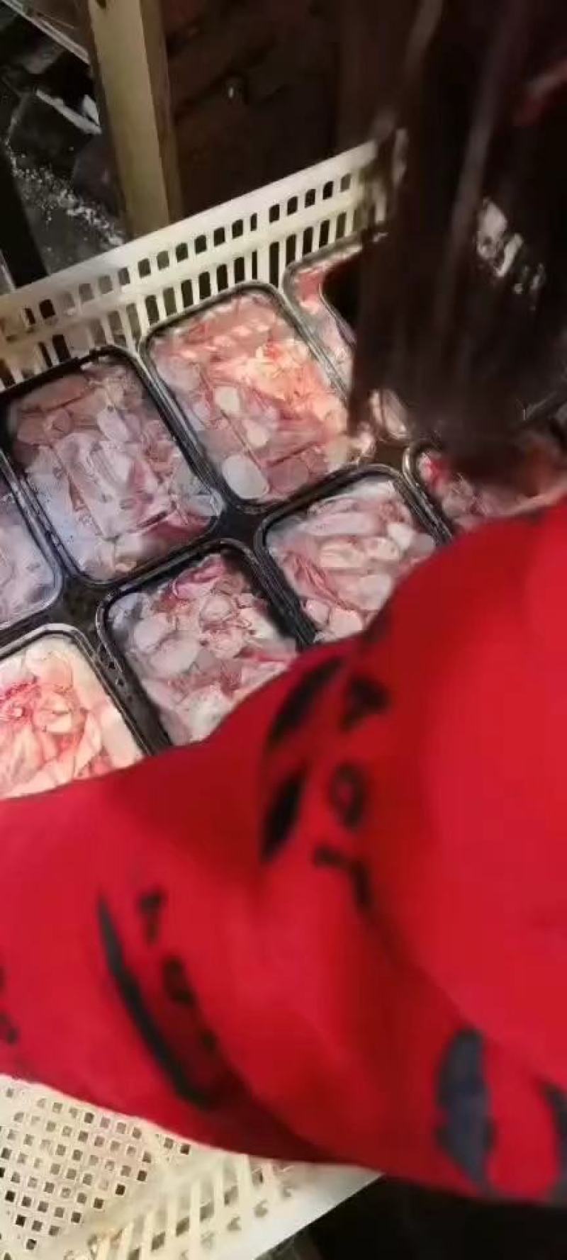 新鲜鱼泡，量大