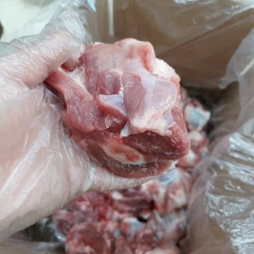 多肉大棒骨