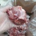 多肉大棒骨