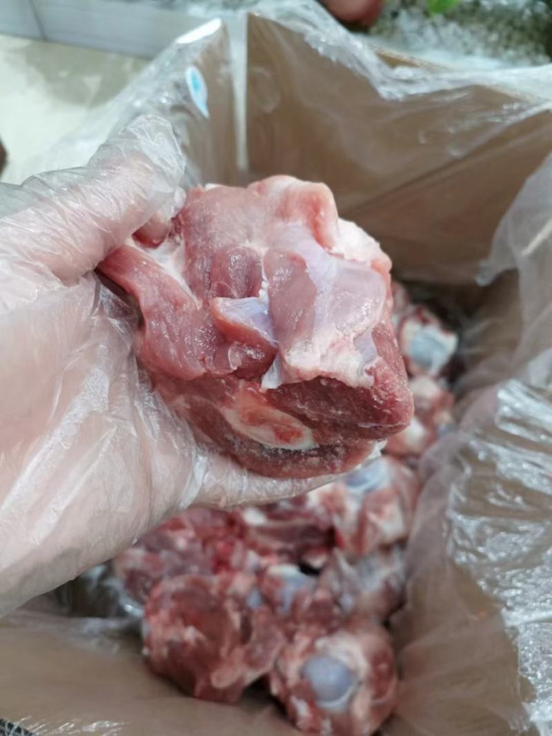 多肉大棒骨