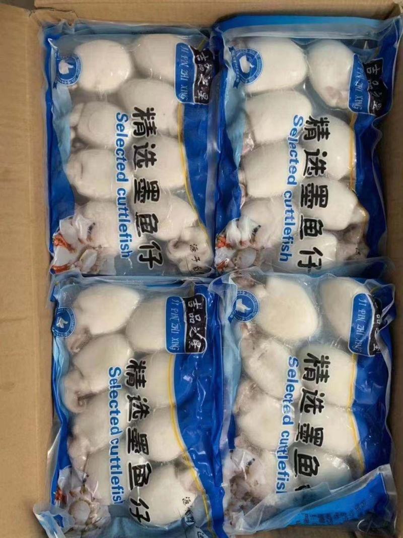 【精选】墨鱼仔，一手货源，货量充足，大量上市