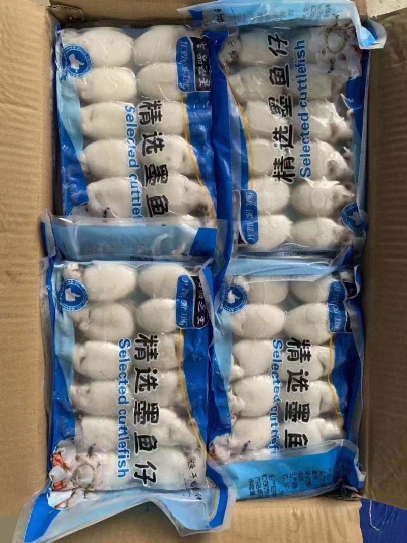 【精选】墨鱼仔，一手货源，货量充足，大量上市