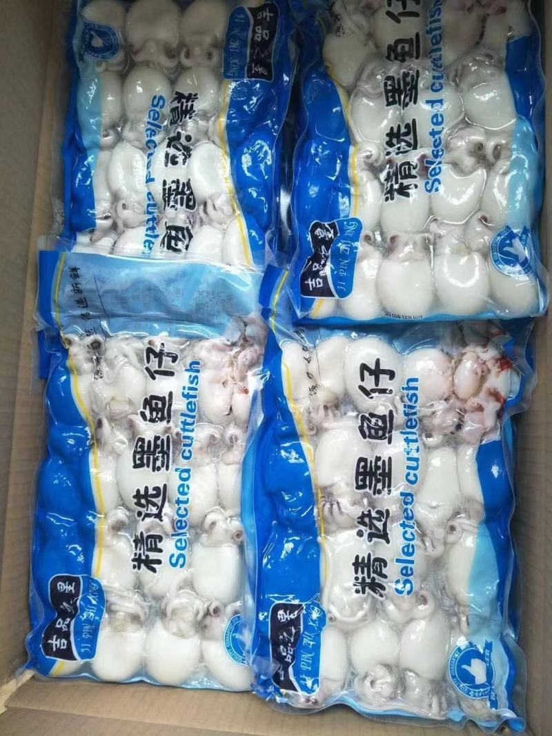 【精选】墨鱼仔，一手货源，货量充足，大量上市