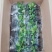 高山杜鹃欧洲进口品种多数量大接受预定，粉黛罗卜次