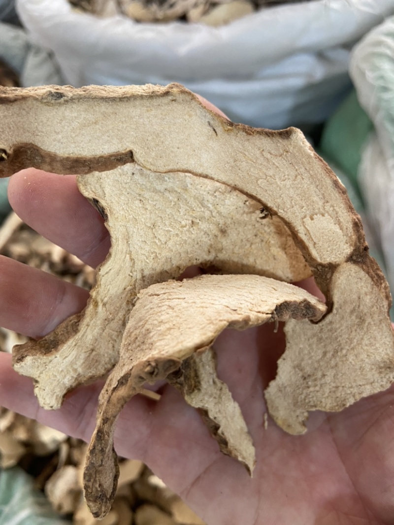 正宗萆薢川萆薢绵萆薢中药材毕薢无硫正品萆薢