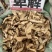 正宗萆薢川萆薢绵萆薢中药材毕薢无硫正品萆薢