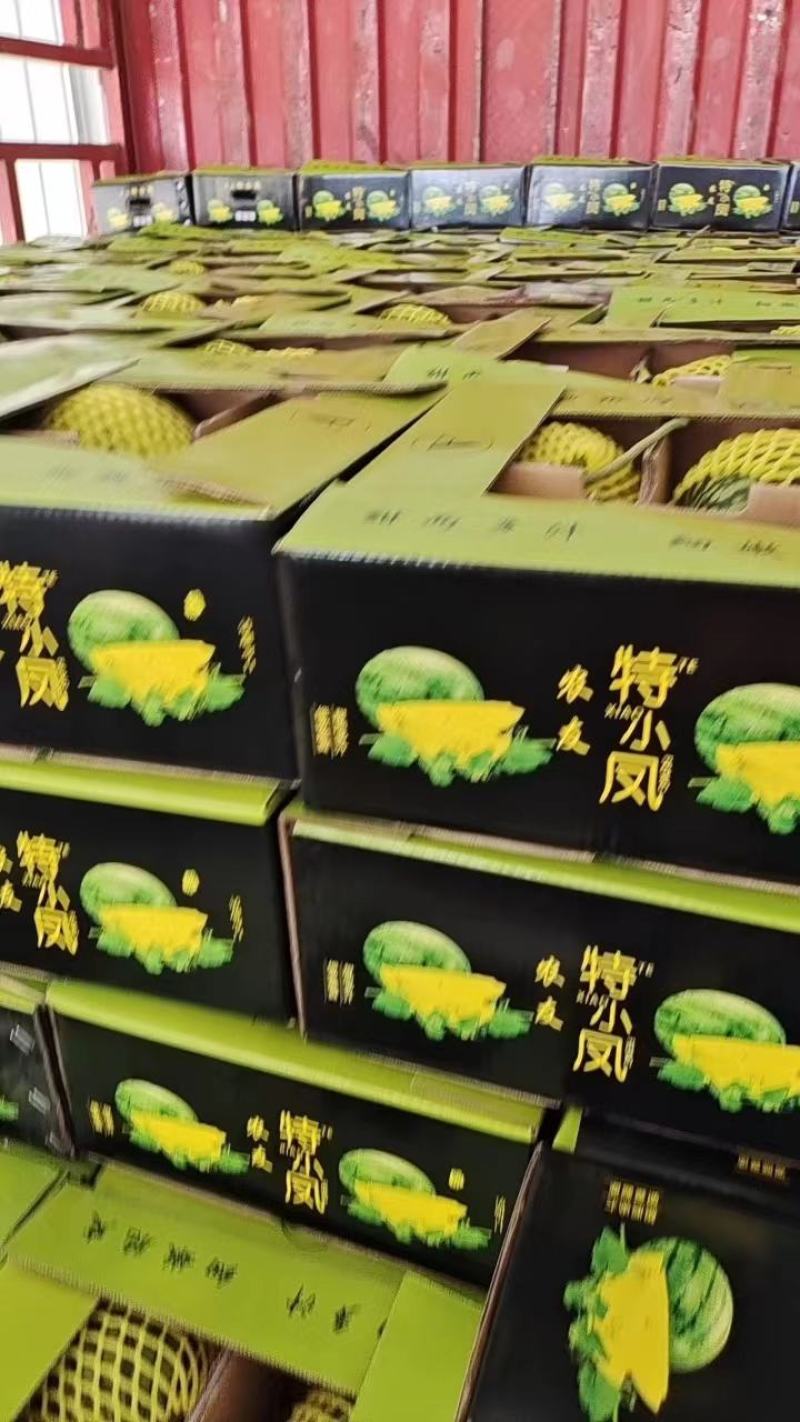 江苏西瓜特小凤西瓜产地直发保质保量可视频看货