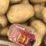 云南土豆洋芋希森土豆三号红心白心大量上市产地直供发