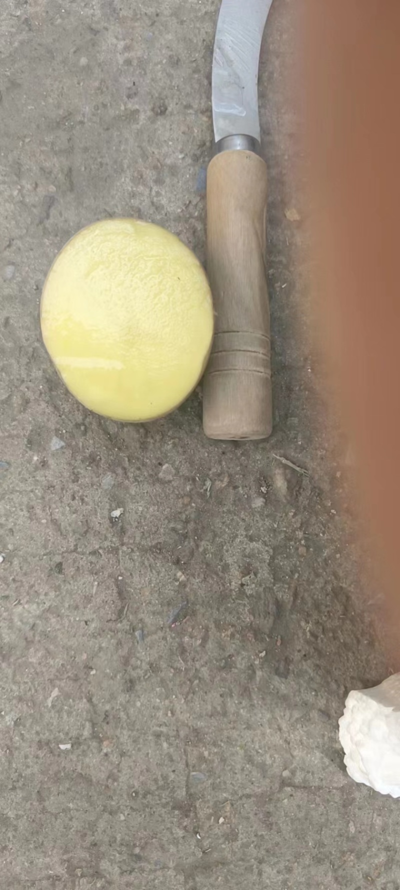 云南土豆洋芋希森土豆三号红心白心大量上市产地直供发