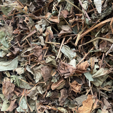 正品野生鱼腥草中药材干货鱼腥草中草药鱼腥草叶批发