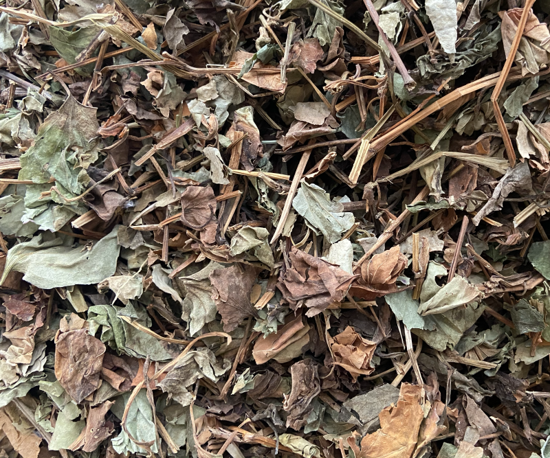 正品野生鱼腥草中药材干货鱼腥草中草药鱼腥草叶批发