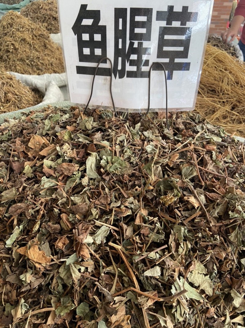 正品野生鱼腥草中药材干货鱼腥草中草药鱼腥草叶批发