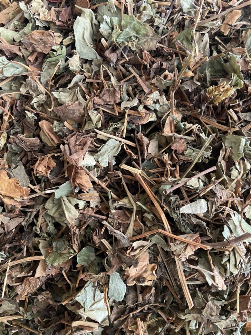 正品野生鱼腥草中药材干货鱼腥草中草药鱼腥草叶批发