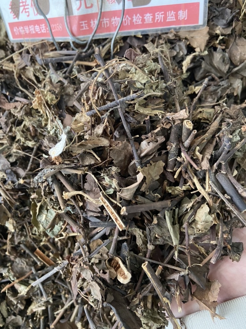 野生中药材九节茶肿节风草珊瑚九节风接骨莲新鲜干货