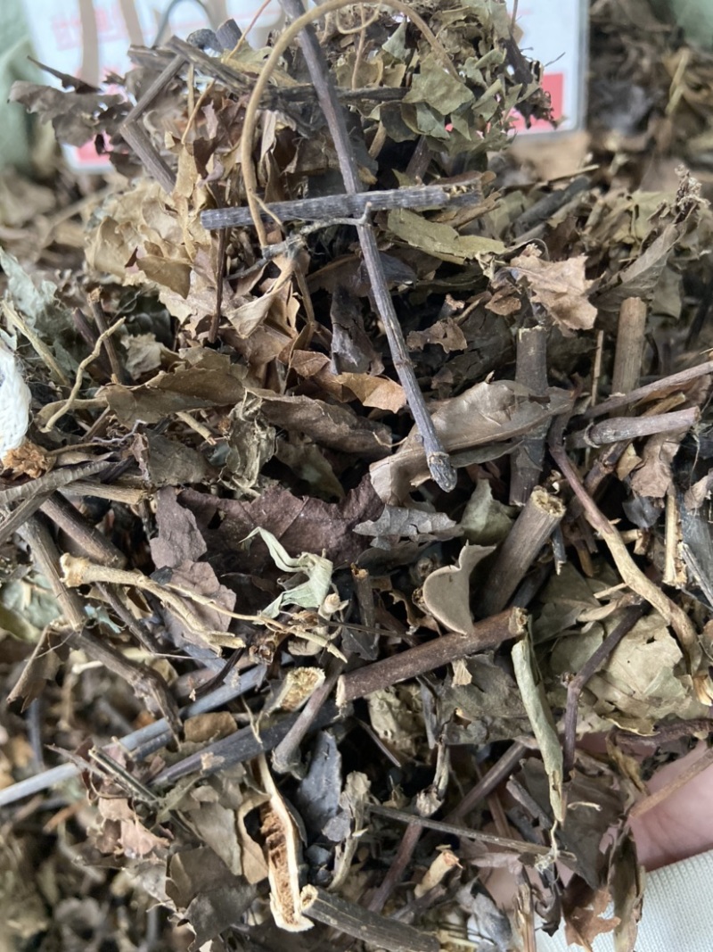 野生中药材九节茶肿节风草珊瑚九节风接骨莲新鲜干货