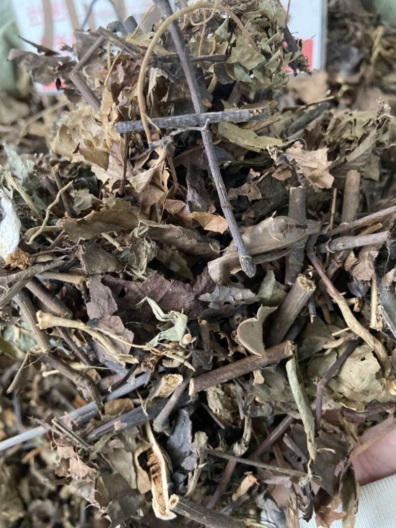 野生中药材九节茶肿节风草珊瑚九节风接骨莲新鲜干货
