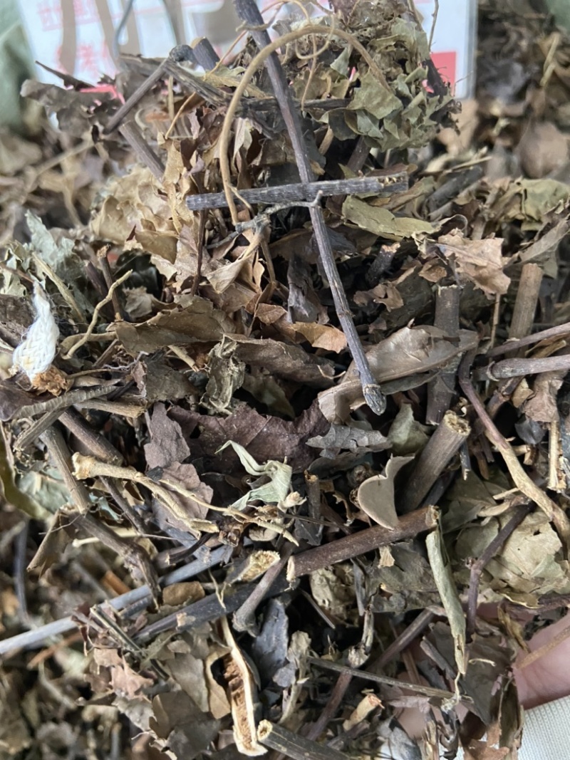 野生中药材九节茶肿节风草珊瑚九节风接骨莲新鲜干货