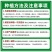 丝瓜苗带土秧苗长丝瓜苗带土包活奶香大肉丝瓜秧苗幼苗
