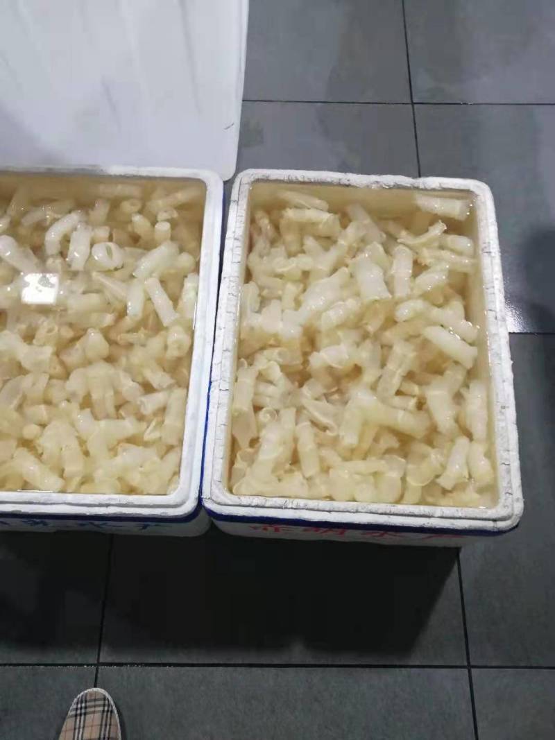 红鱼肚