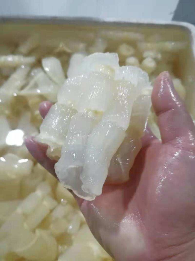 红鱼肚