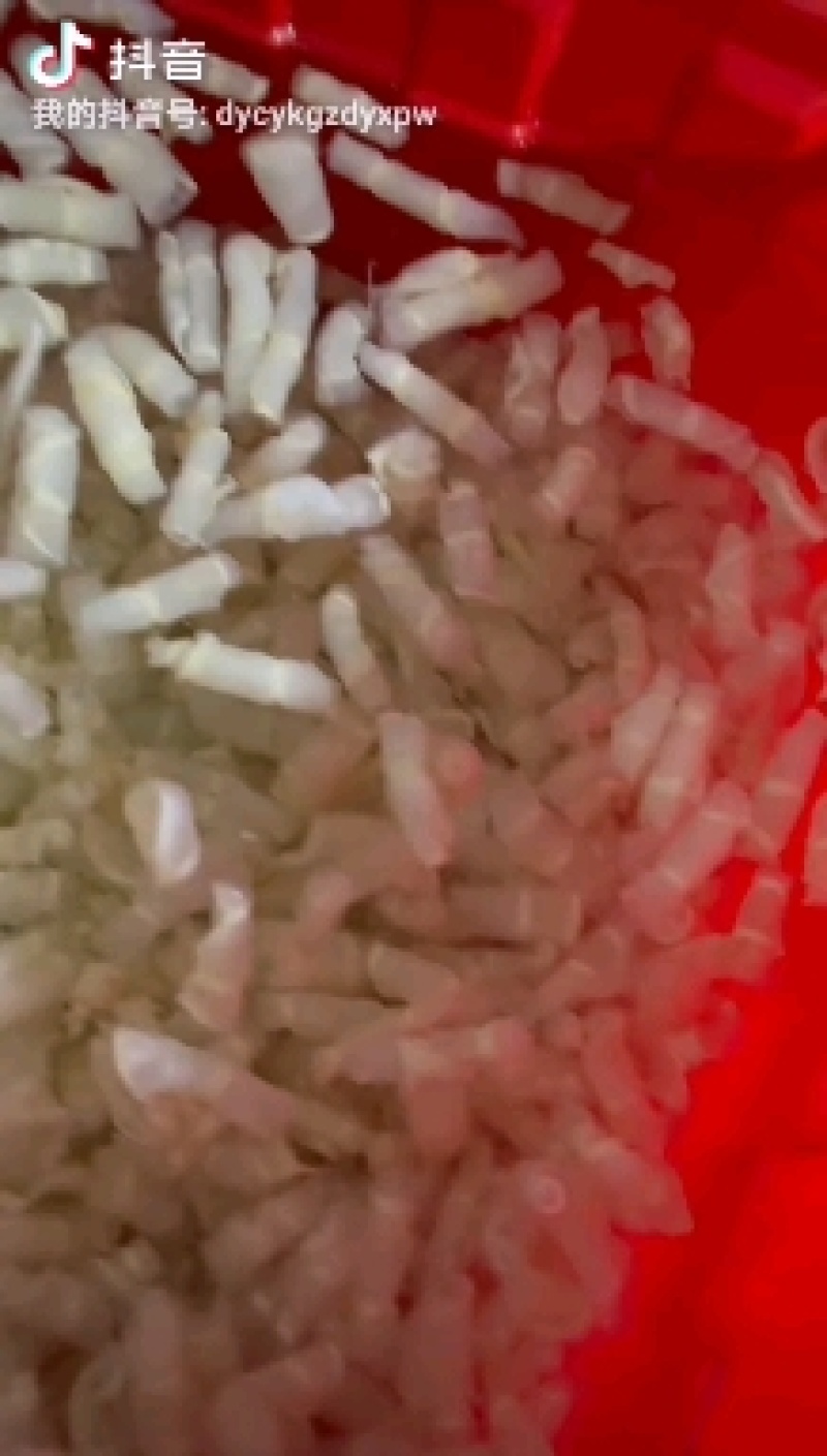 红鱼肚
