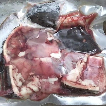 草龟肉，龟肉，龟鳖肉，去壳肉