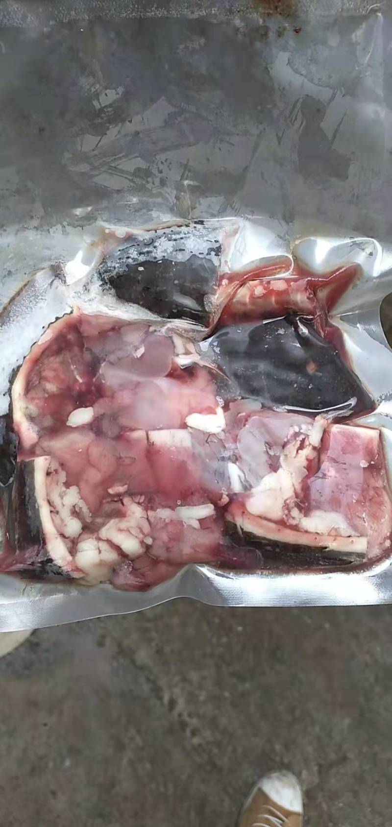 草龟肉，龟肉，龟鳖肉，去壳肉