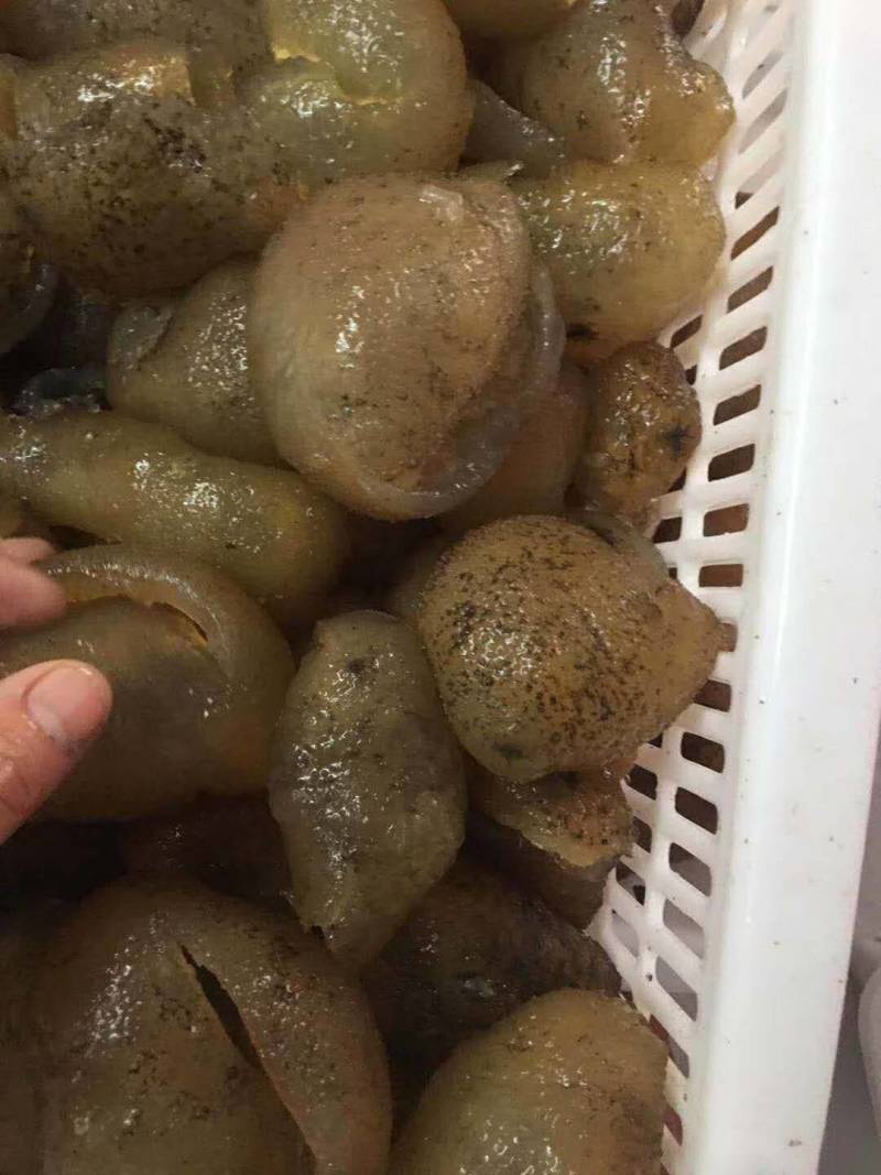 球参，也叫珍珠球，适合酒店，酒楼，大排档出品，口感爽脆
