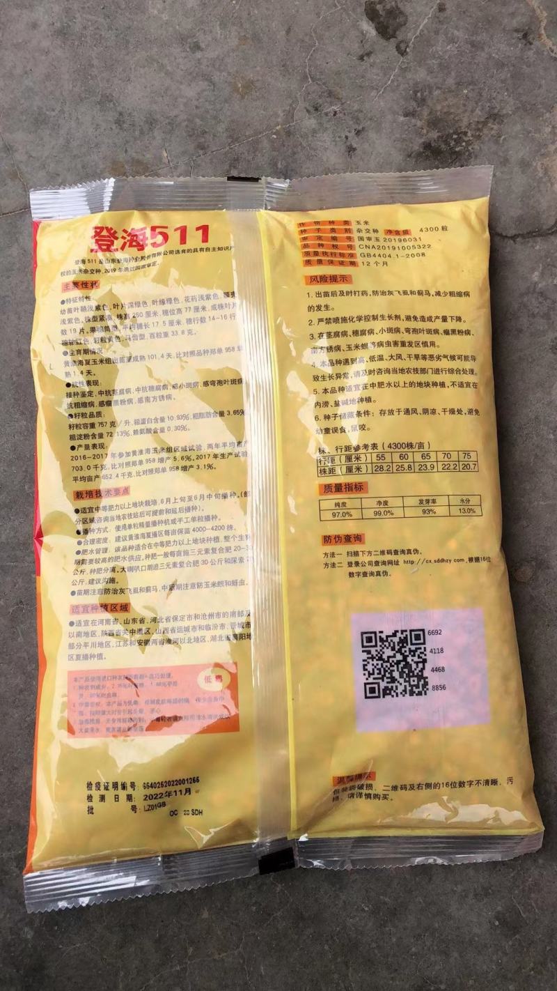 登海511.登海种业供种）：强抗倒、抗病、结实性好、适应