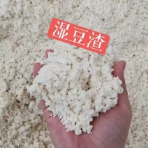 甘肃大量供应湿豆渣，白菜价出售