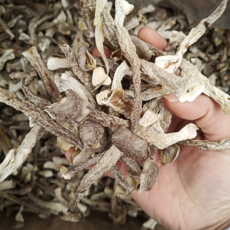 批发.鹿茸菇500克干货菇菌类煮汤鹿茸菇干货食用菌