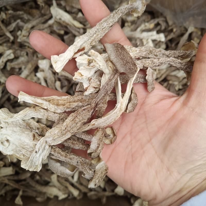 批发.鹿茸菇500克干货菇菌类煮汤鹿茸菇干货食用菌