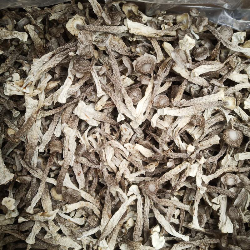 批发.鹿茸菇500克干货菇菌类煮汤鹿茸菇干货食用菌
