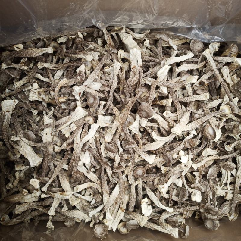 批发.鹿茸菇500克干货菇菌类煮汤鹿茸菇干货食用菌