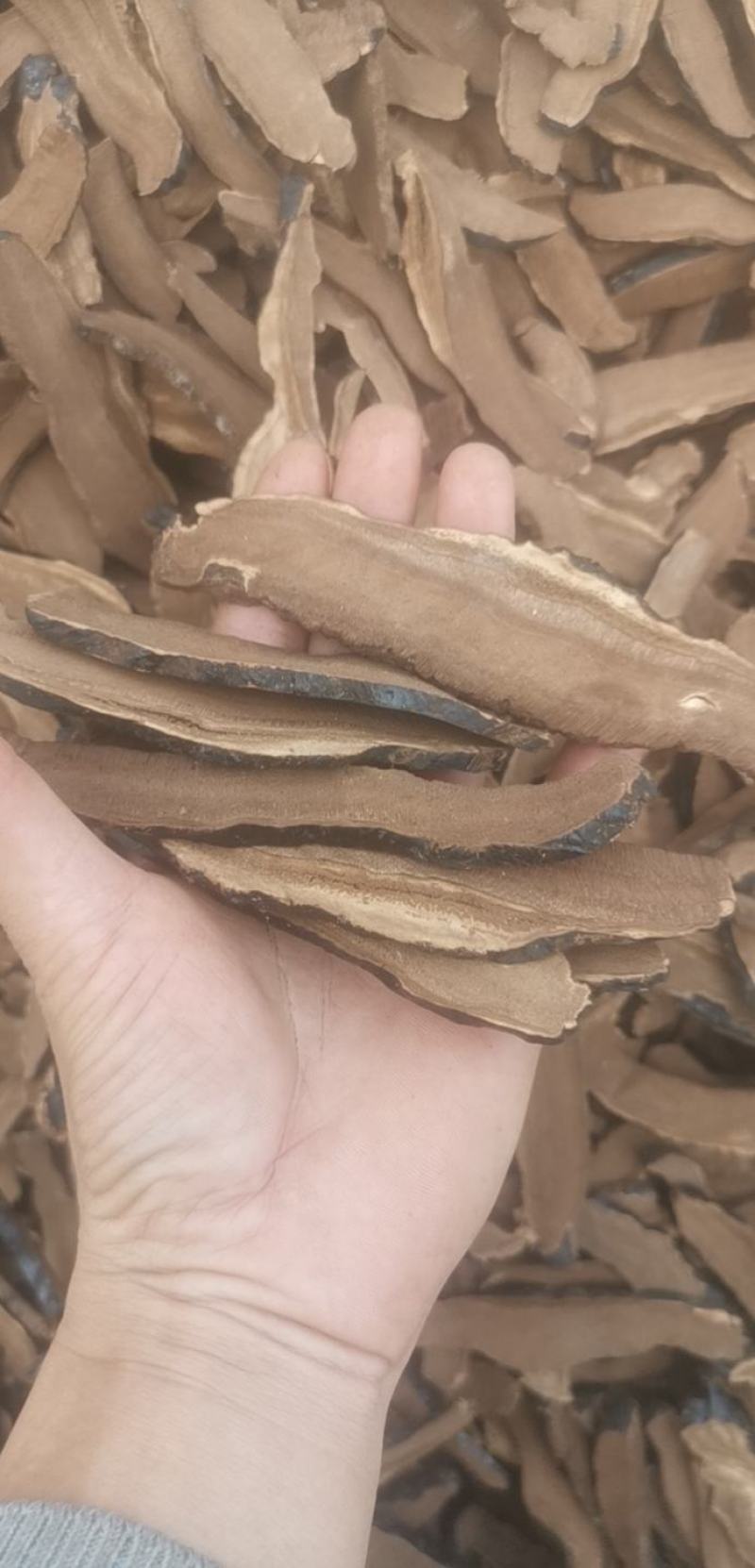 产地货源，菌香浓郁，一件代发黑灵芝切片无碎片