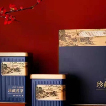 凤凰春蜜兰单枞老树生态